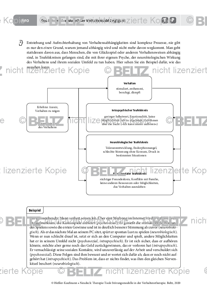 St Rungsmodelle Das Integrative Modell Der Verhaltensabh Ngigkeit