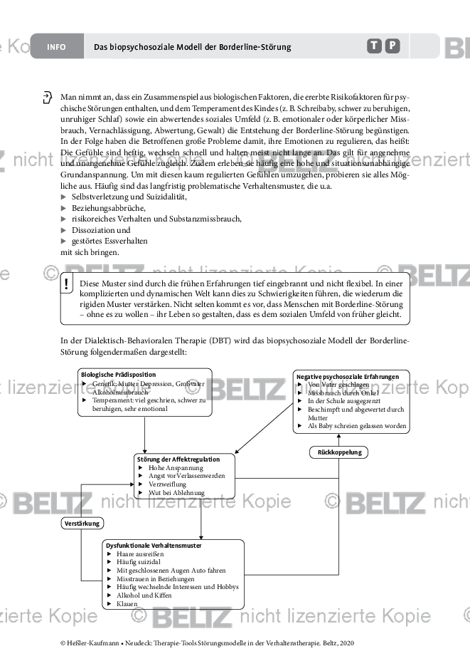 St Rungsmodelle Das Biopsychosoziale Modell Der Borderline St Rung