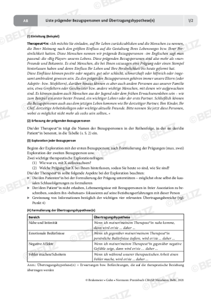 Praxisbuch Cbasp Behandlung Chronischer Depression Und Modifikationen