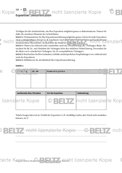 Pornografienutzungsstörung: Exposition: Dokumentation