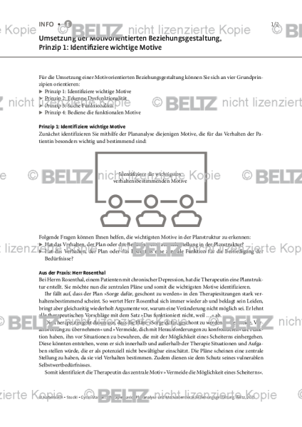 Plananalyse: Umsetzung der Motivorientierten Beziehungsgestaltung, Prinzip 1: Identifiziere wichtige