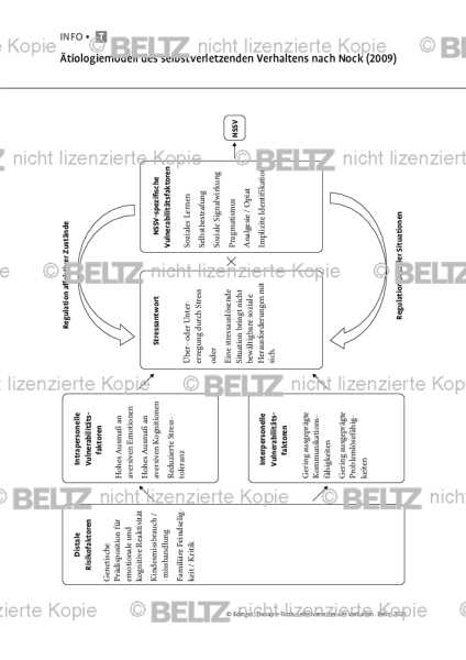 Selbstverletzendes Verhalten: Ätiologiemodell des selbstverletzenden Verhaltens nach Nock (2009)