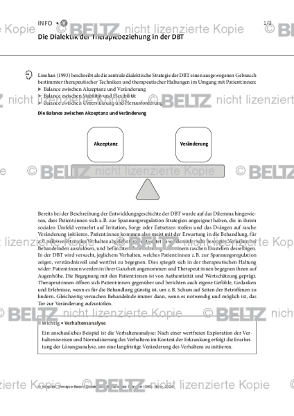 DBT: Die Dialektik der Therapiebeziehung