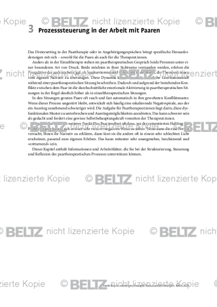Paarbeziehungen: Einleitung: Prozesssteuerung in der Arbeit mit Paaren