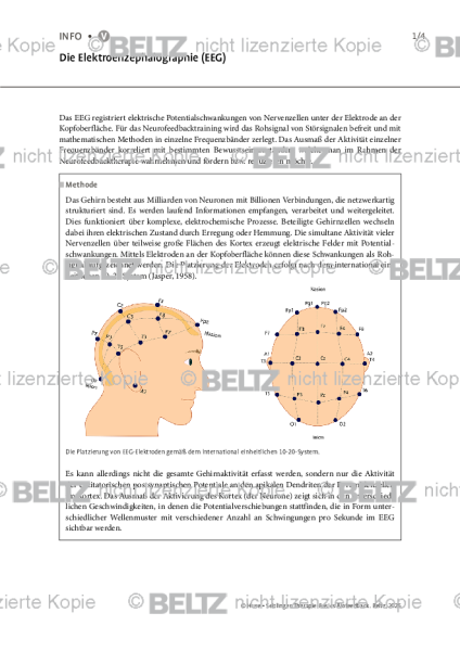 Biofeedback: Die Elektroenzephalographie (EEG)
