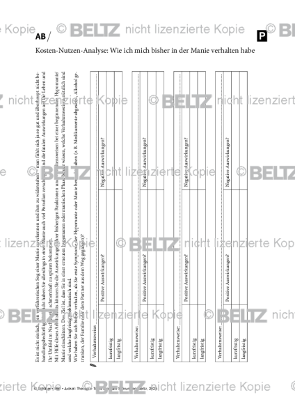 Bipolare Störungen: Kosten-Nutzen-Analyse: Wie ich mich bisher in der Manie verhalten habe