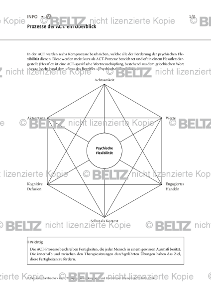 Prozesse der ACT: ein Überblick