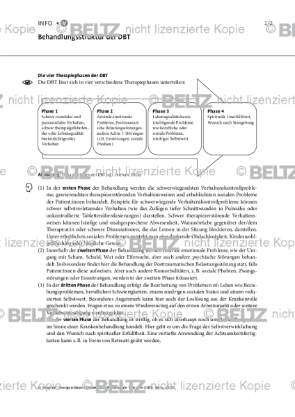 DBT: Behandlungsstruktur