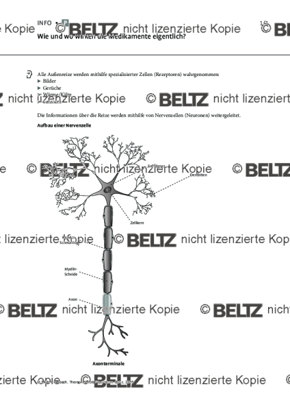 Psychosen: Wie und wo wirken die Medikamente eigentlich?