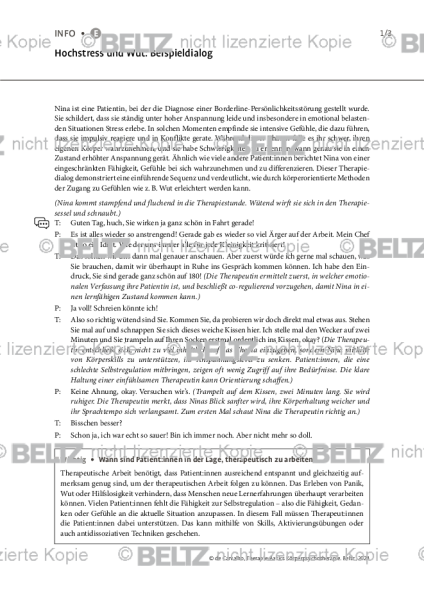 Körperpsychotherapie: Hochstress und Wut: Beispieldialog