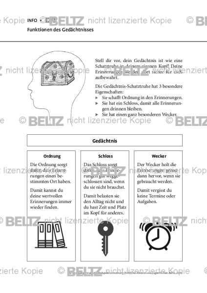 Fetale Alkoholspektrumstörung: Funktion des Gedächtnisses