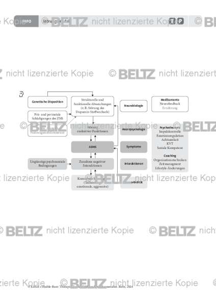 ADHS im Erwachsenenalter: Störungsmodell