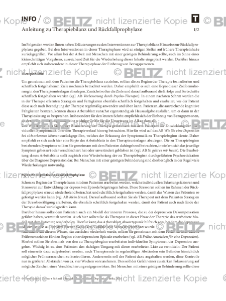 Depression und geistige Behinderung: Anleitung zu Therapiebilanz und Rückfallprophylaxe