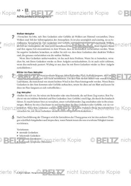 Psychosen: Achtsamkeitsmetaphern