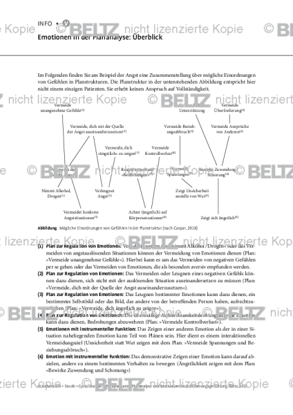 Emotionen in der Plananalyse: Überblick