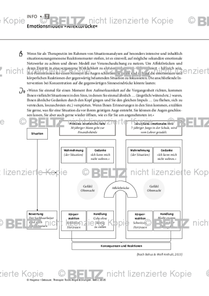 Angststörungen: Emotionsmodell »Affektbrücke«