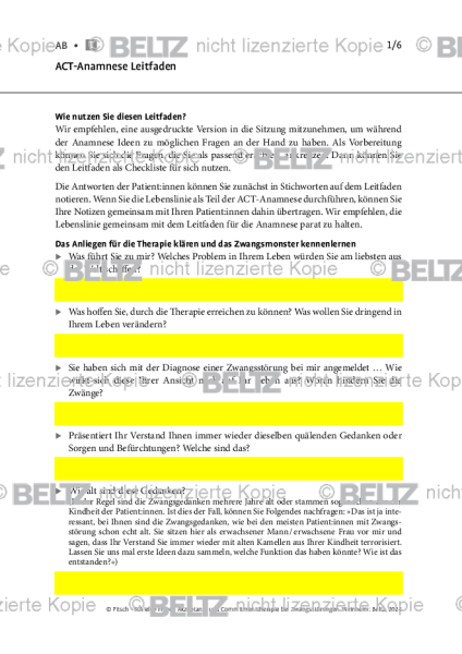 ACT-Anamnese-Leitfaden