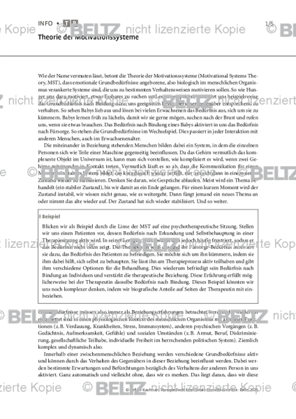Emotionale Grundbedürfnisse: Theorie der Motivationssysteme