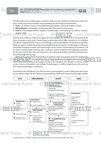 Störungsmodelle: Das multifaktorielle Rahmenmodell: die Verarbeitung traumatischer Ereignisse