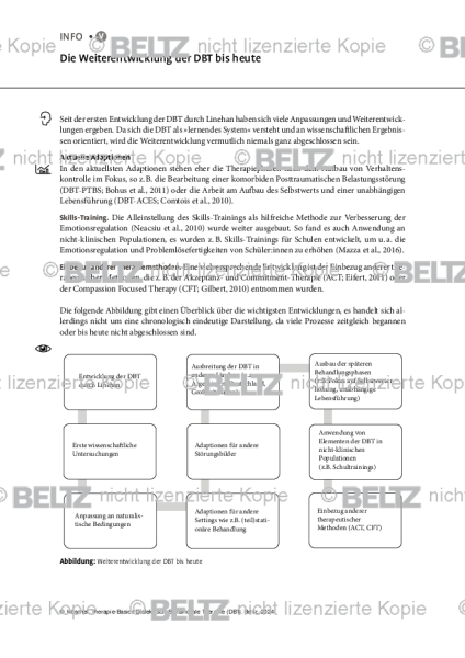 DBT: Die Entwicklung bis heute