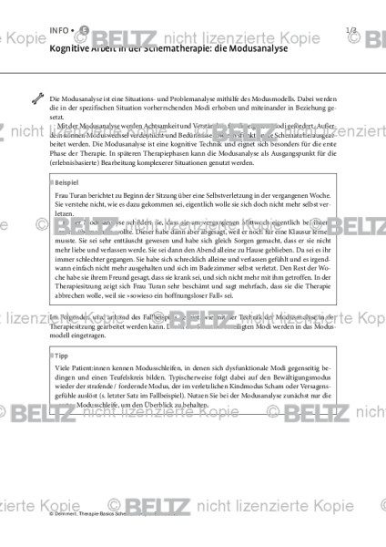 Schematherapie: Kognitive Arbeit in der Schematherapie: die Modusanalyse