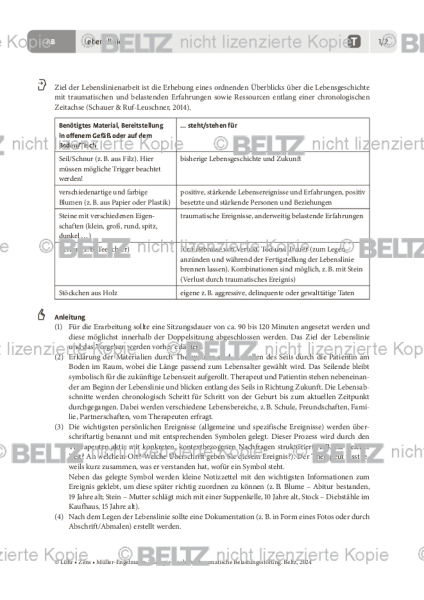 PTBS: Lebenslinie