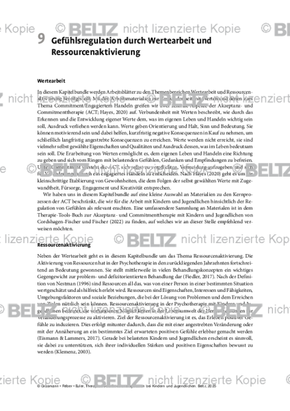 Emotionsregulation (K/J): Einleitung – Gefühlsregulation durch Wertearbeit und Ressourcenaktivierung