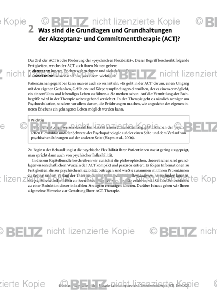 Einleitung Was sind die Grundlagen und Grundhaltungen der Akzeptanz- und Commitmenttherapie (ACT)?