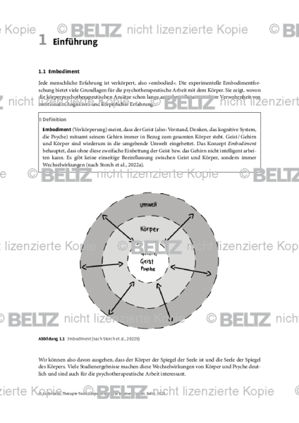 Körperorientierte Interventionen: Einführung