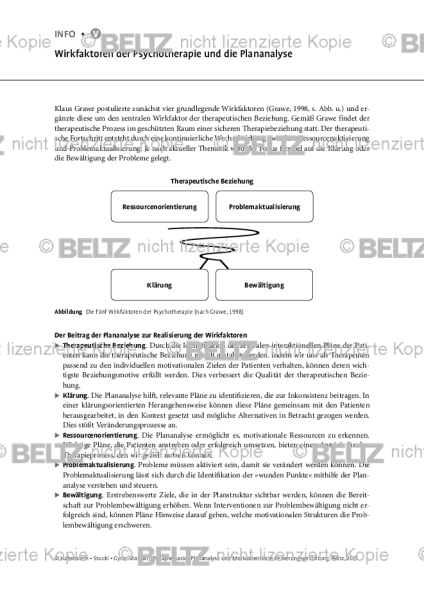 Wirkfaktoren der Psychotherapie und die Plananalyse