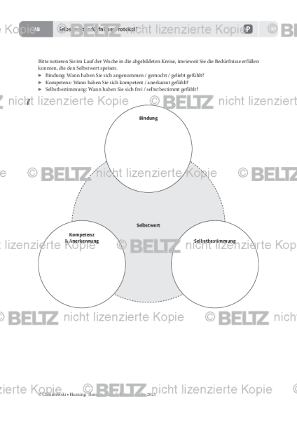 Selbstwertbedürfnisse: Protokoll