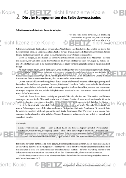 Selbstbewusstsein: Einleitung Die vier Komponenten des Selbstbewusstseins