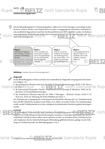 DBT: Vorbereitungsphase