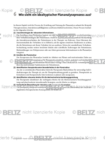Einleitung: Wie sieht ein idealtypischer Plananalyseprozess aus?
