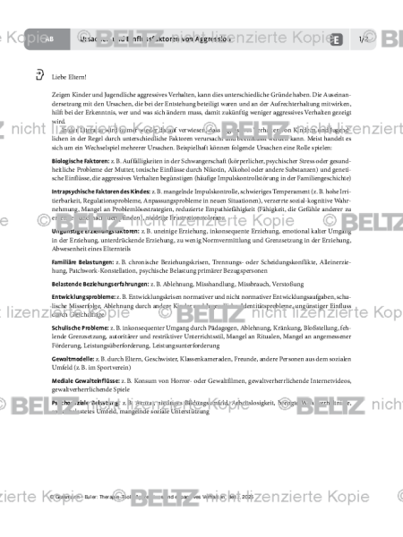 Ursachen und Einflussfaktoren von Aggression