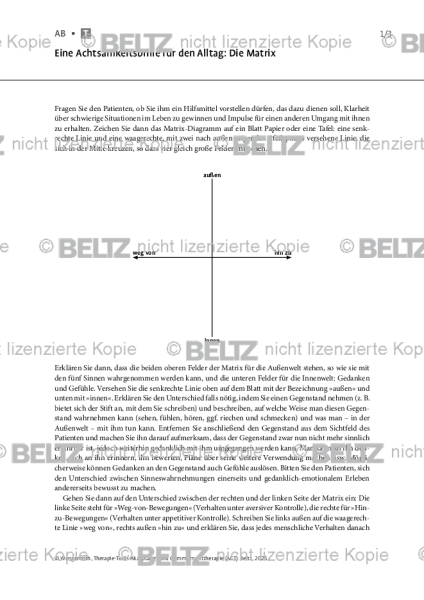 ACT: Eine Achtsamkeitsbrille für den Alltag: Die Matrix