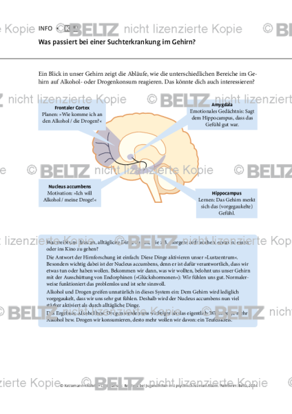 Jugendliche psychisch kranker Eltern: Was passiert bei einer Suchterkrankung im Gehirn?