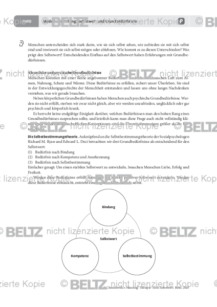 Modellvermittlung: Selbstwert und Grundbedürfnisse