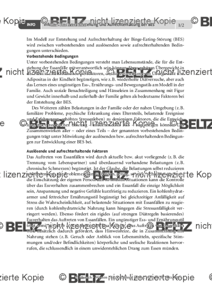 Binge Eating: Informationen zur Entstehung und Aufrechterhaltung der BES