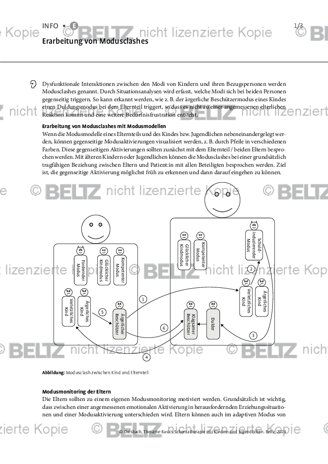 Schematherapie Mit Kindern Und Jugendlichen: Erarbeitung Von ...