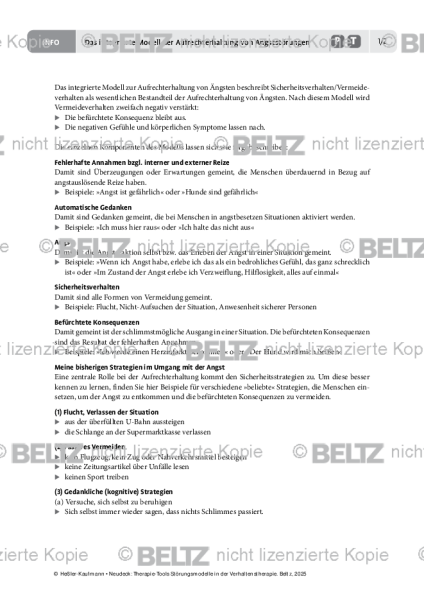 Störungsmodelle: Das integrierte Modell der Aufrechterhaltung von Angststörungen