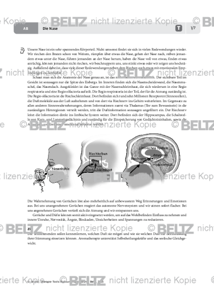 Ressourcenaktivierung: Die Nase