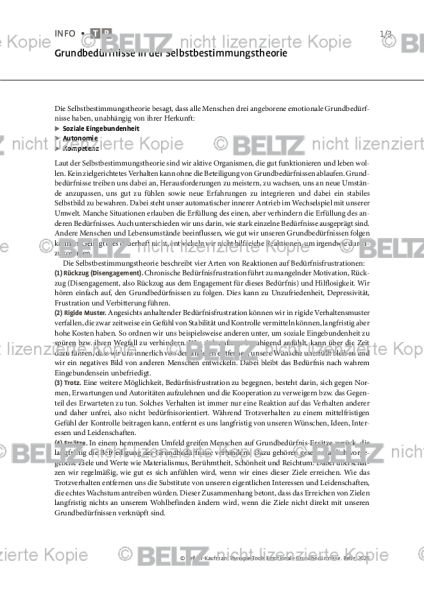 Emotionale Grundbedürfnisse: Grundbedürfnisse in der Selbstbestimmungstheorie
