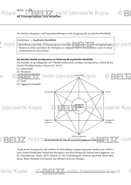 ACT-Kernprozesse: das Hexaflex