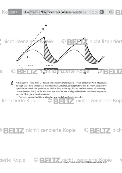 Schlafstörungen: Das Wach- oder Aktivierungssystem »W«: Bären-Metapher