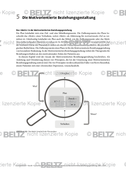 Plananalyse: Einleitung: Die Motivorientierte Beziehungsgestaltung