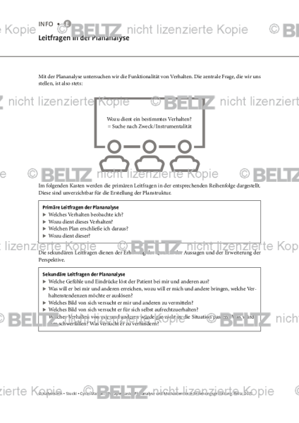 Leitfragen in der Plananalyse