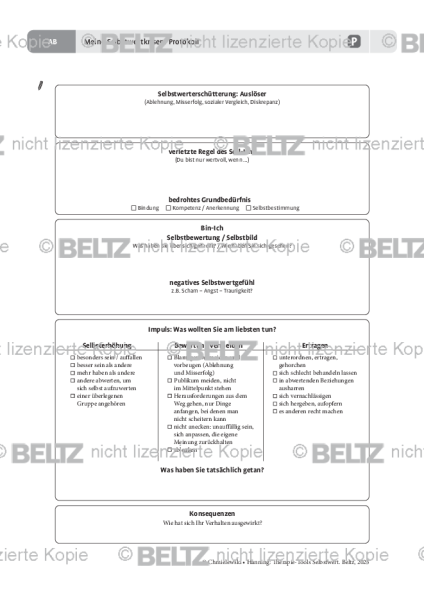 Meine Selbstwertkrisen: Protokoll