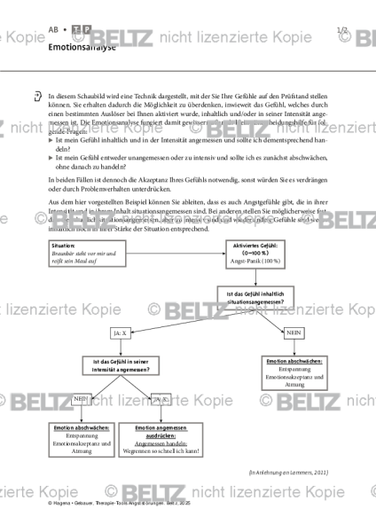 Angststörungen: Emotionsanalyse