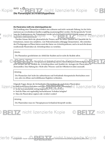 Die Plananalyse als Arbeitshypothese